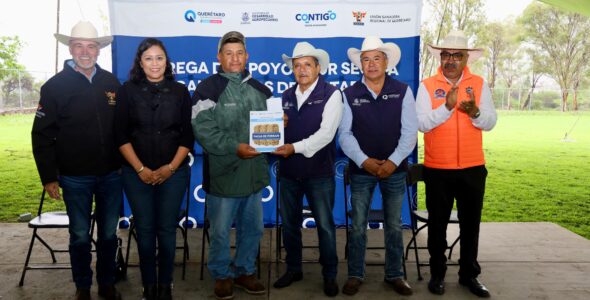 Ganaderos de Colón Reciben 105 Toneladas de Alimento para 12 mil Cabezas de Ganado