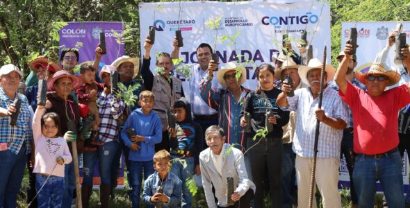 Reforestan el Ejido Los Quiotes