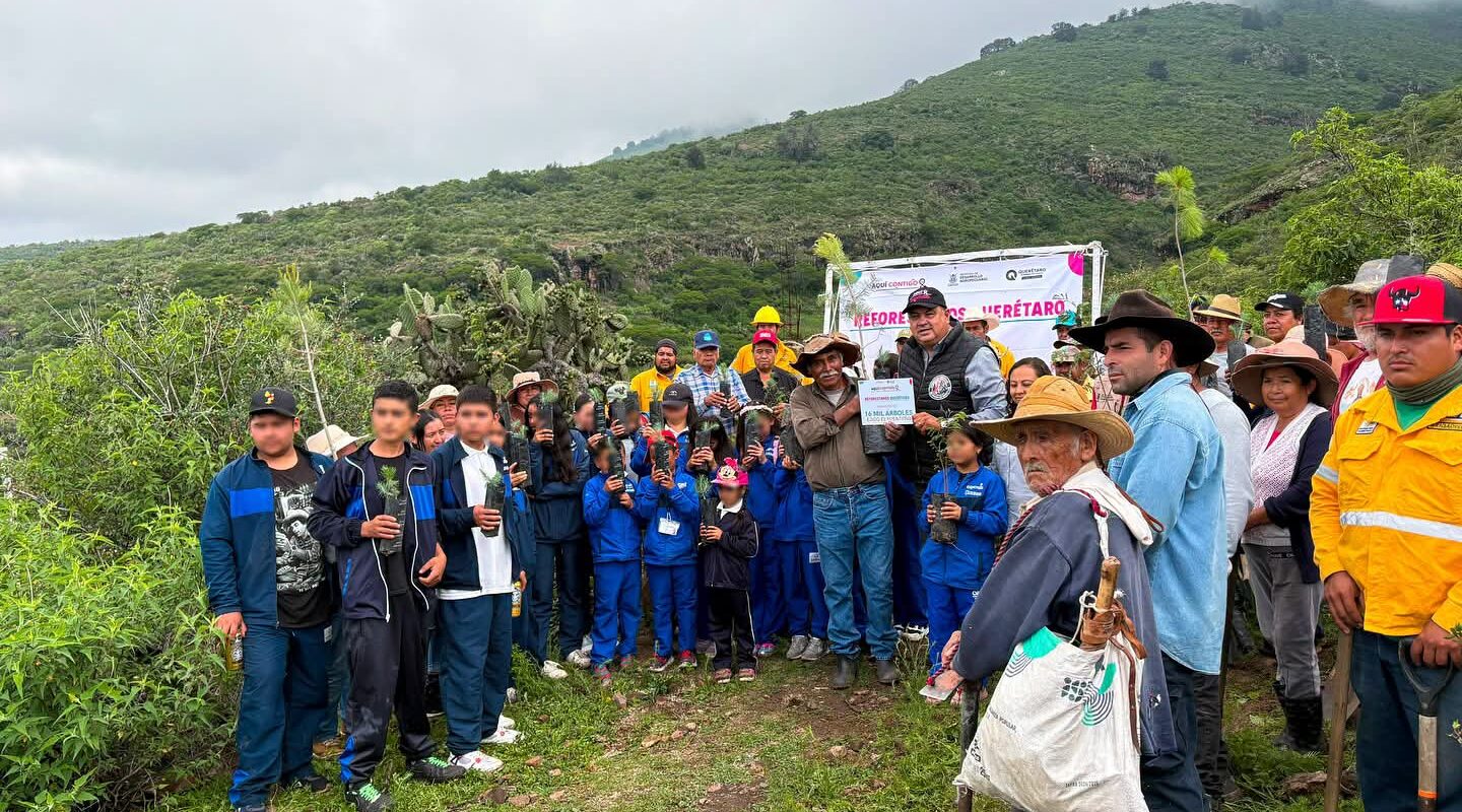 Reforestación Masiva en Colón