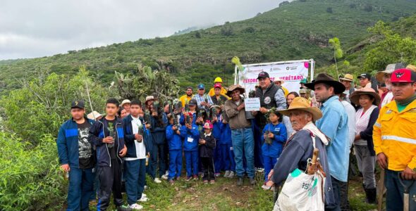Reforestación Masiva en Colón