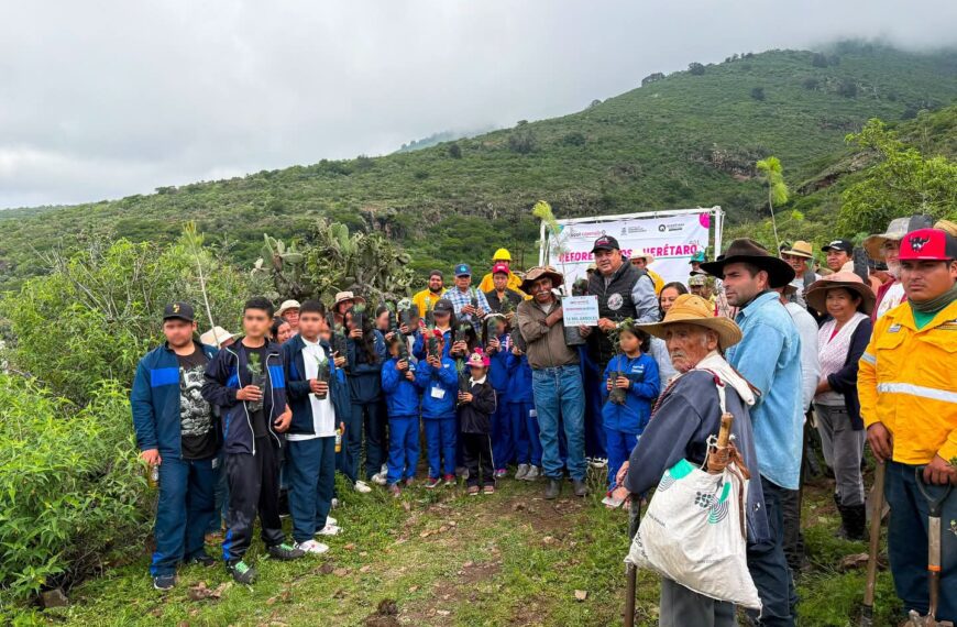 Reforestación Masiva en Colón